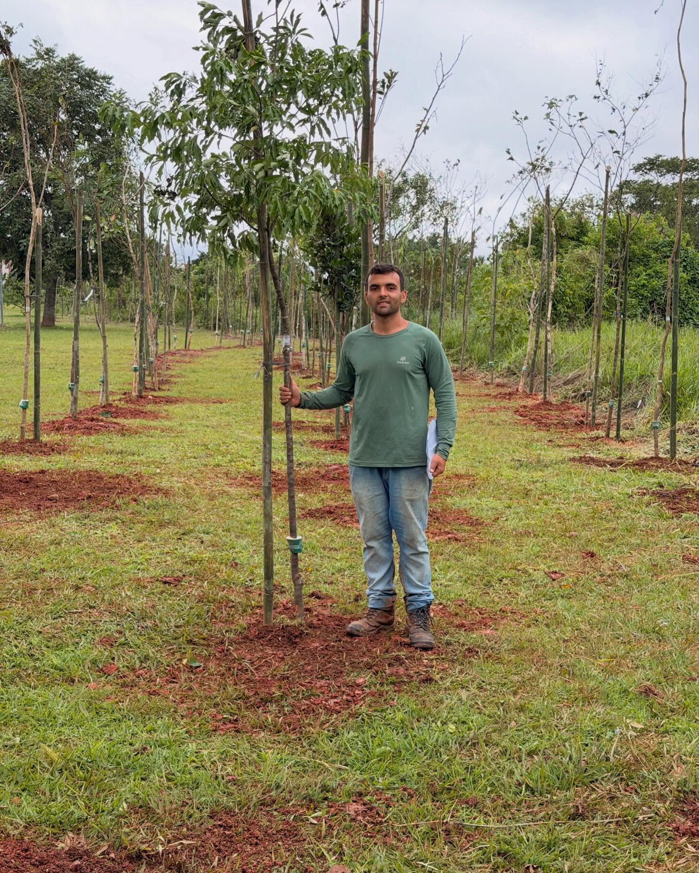 Profissional do Viveiro NMA em campo com muda nativa